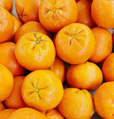 손목터널증후군에 좋은 음식 10가지