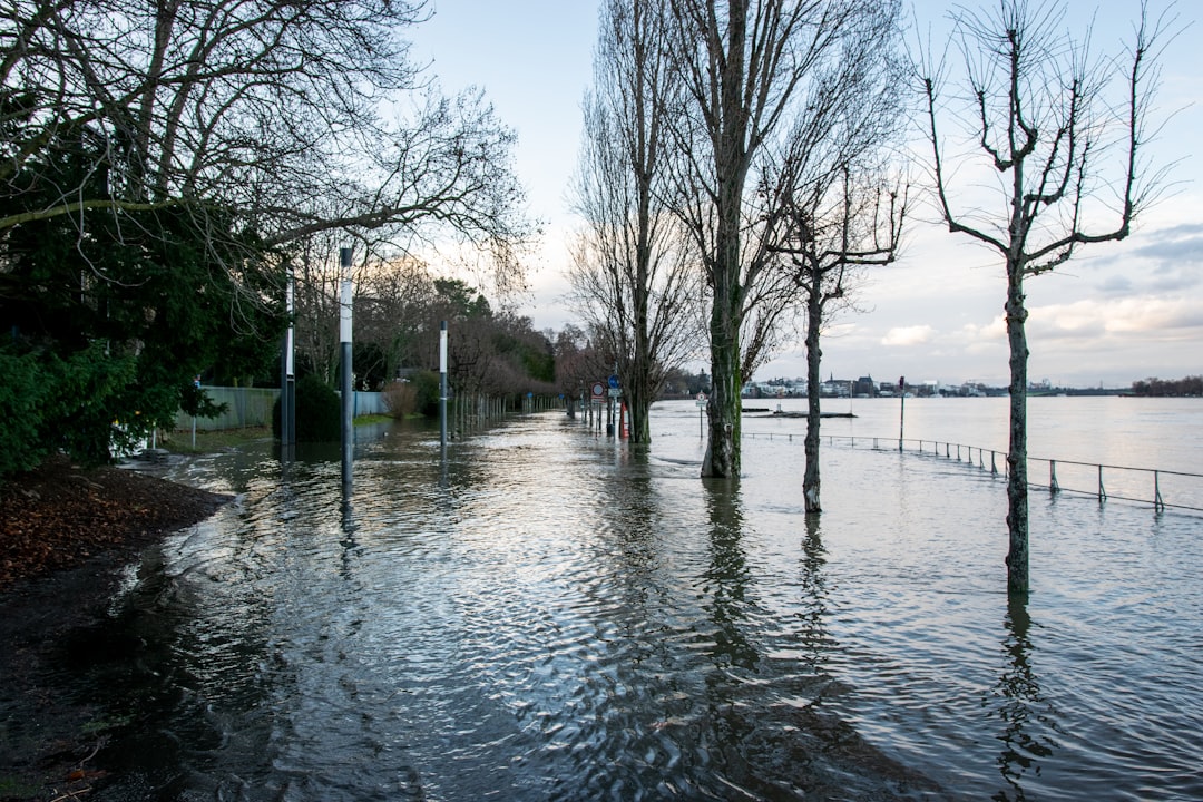 Flood insurance.