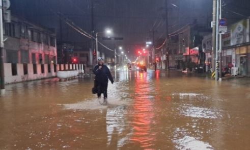 마포구 재난재해 예비비 줄여 대통령 흉상 세우나