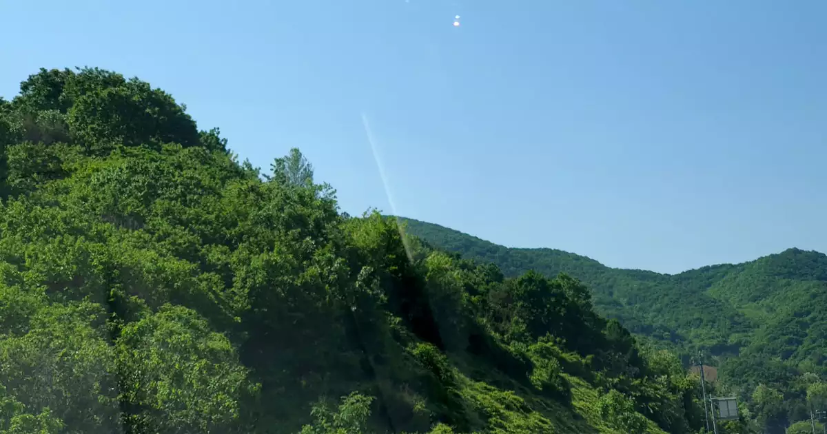 산의 신록