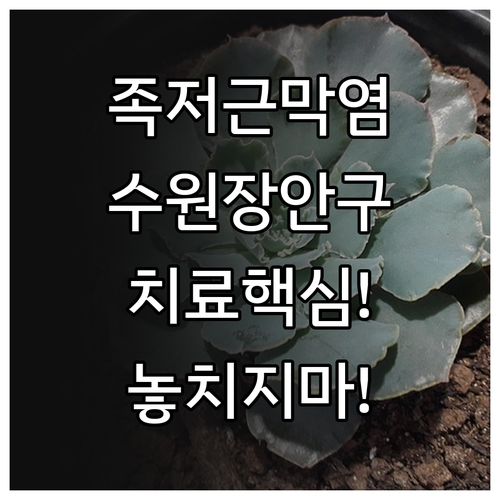 수원 장안구 족저근막염 치료 병원 찾..