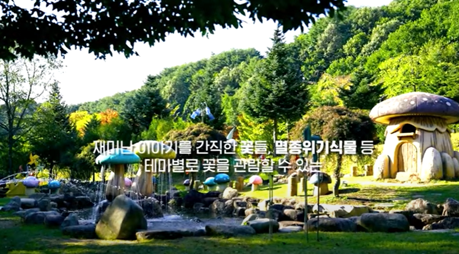 양구수목원 관광