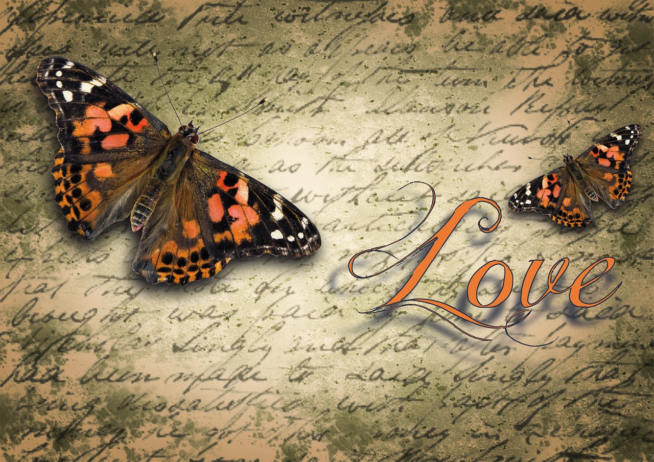 편지 letter 편지봉투