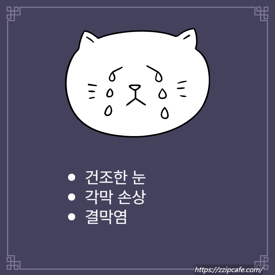 눈 이물감
