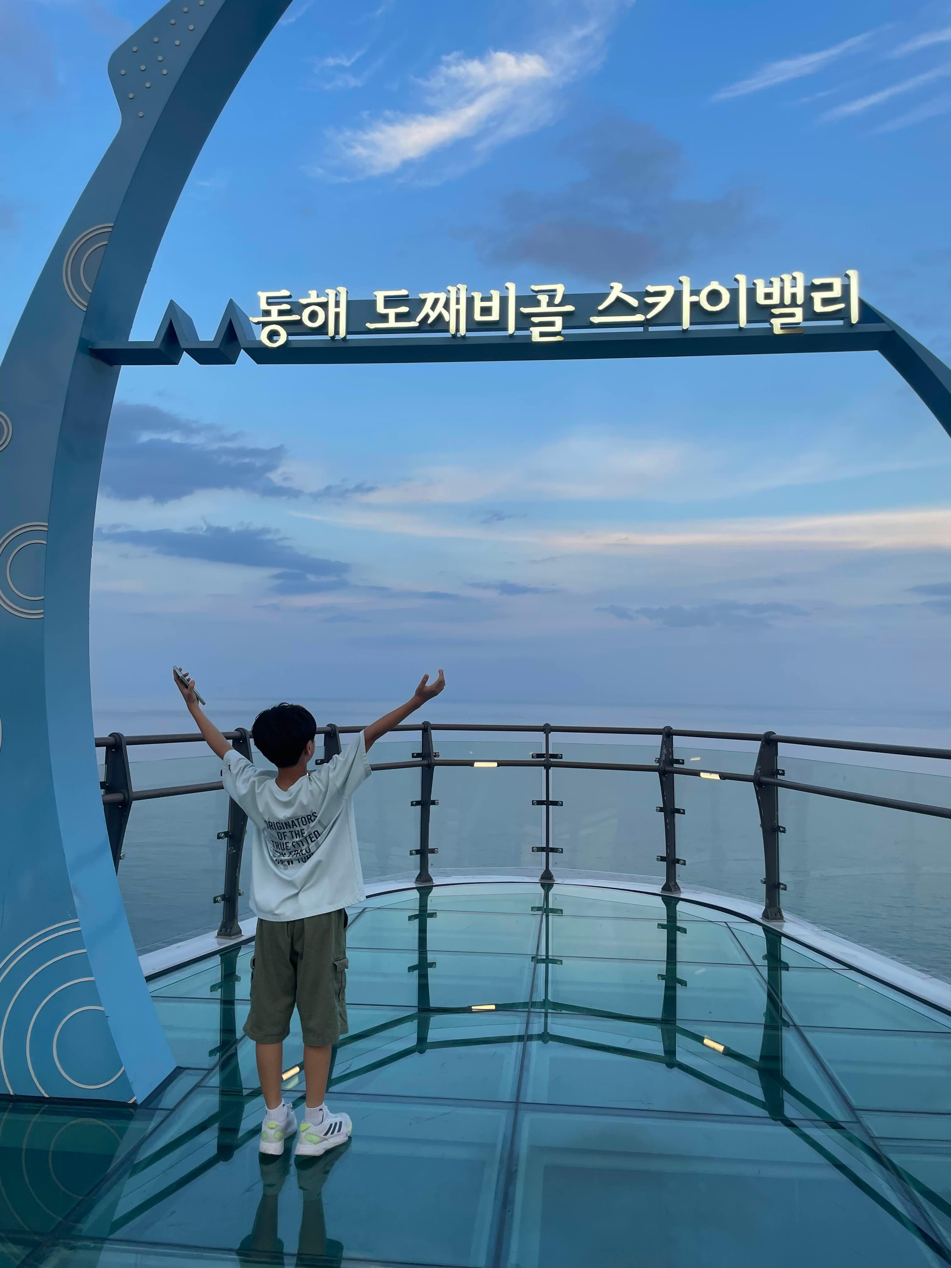 동해 묵호 도째비골 스카이밸리