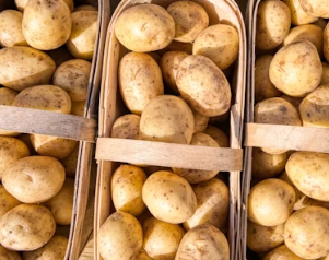 비타민C 많은 음식 (식품 과일 채소)