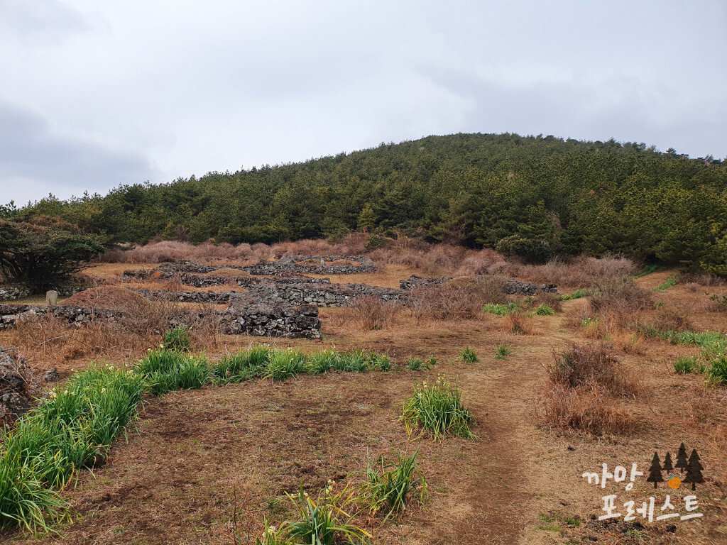 높은 오름 공터