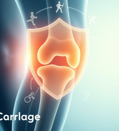 아나파랙틴-효능-내돈내산-관절영양제-추천