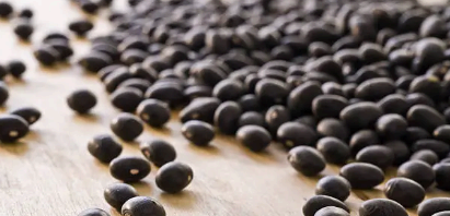 검은콩 이미지사진