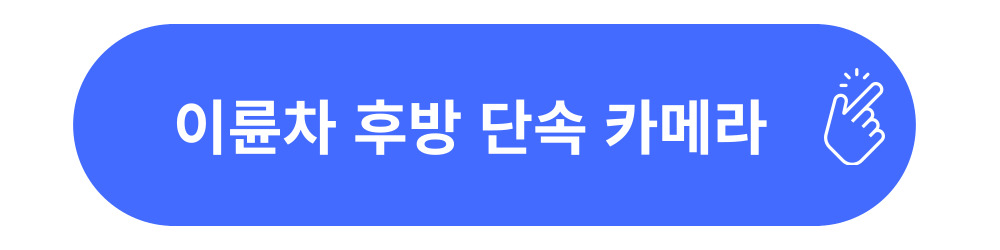 배곧신도시-이륜차-단속