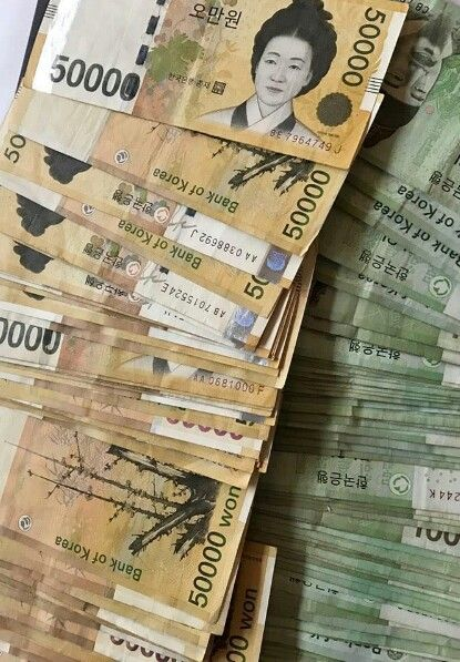 5차 재난지원금