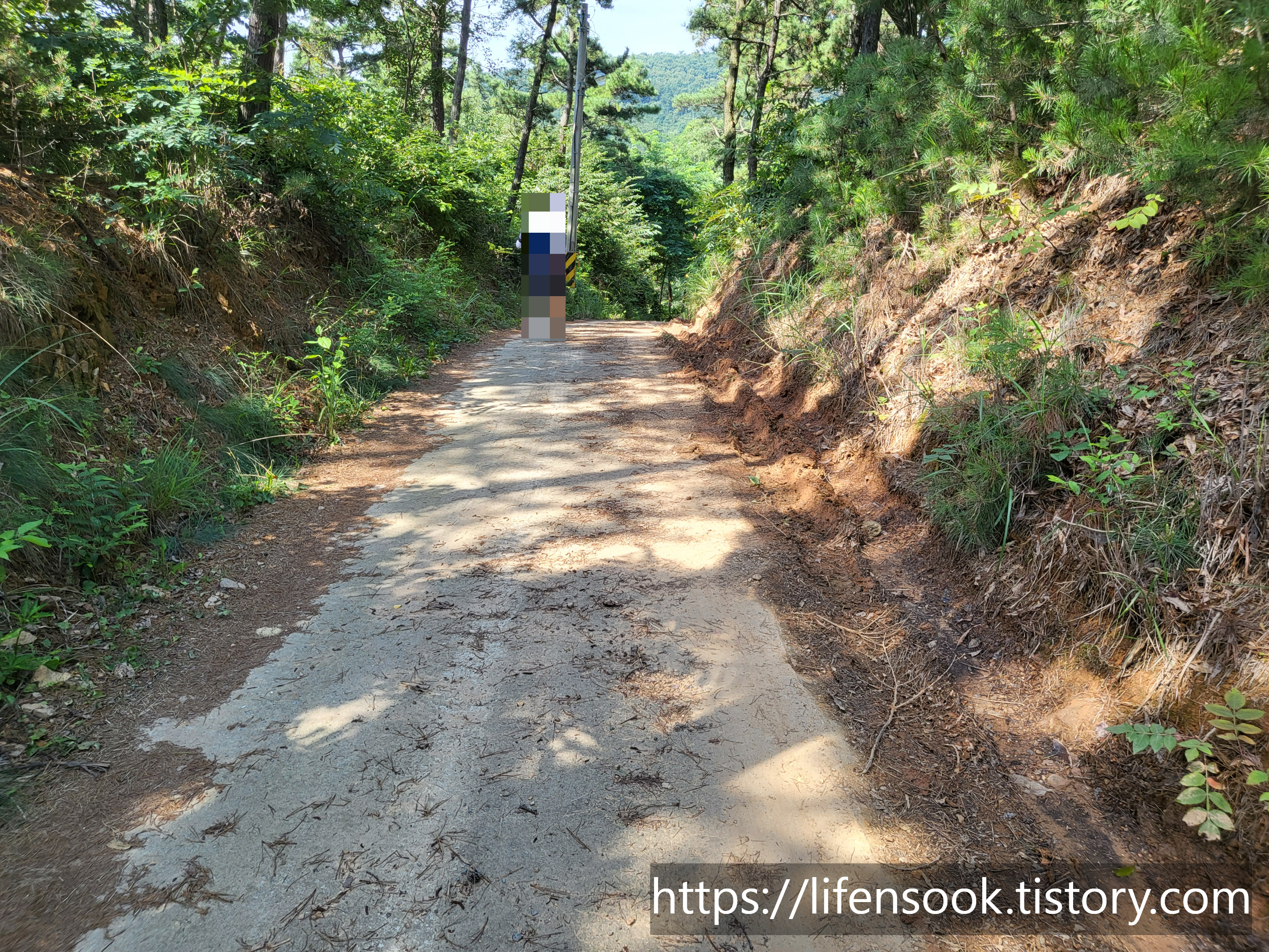 대부해솔길 3코스 아일랜드CC 옆길