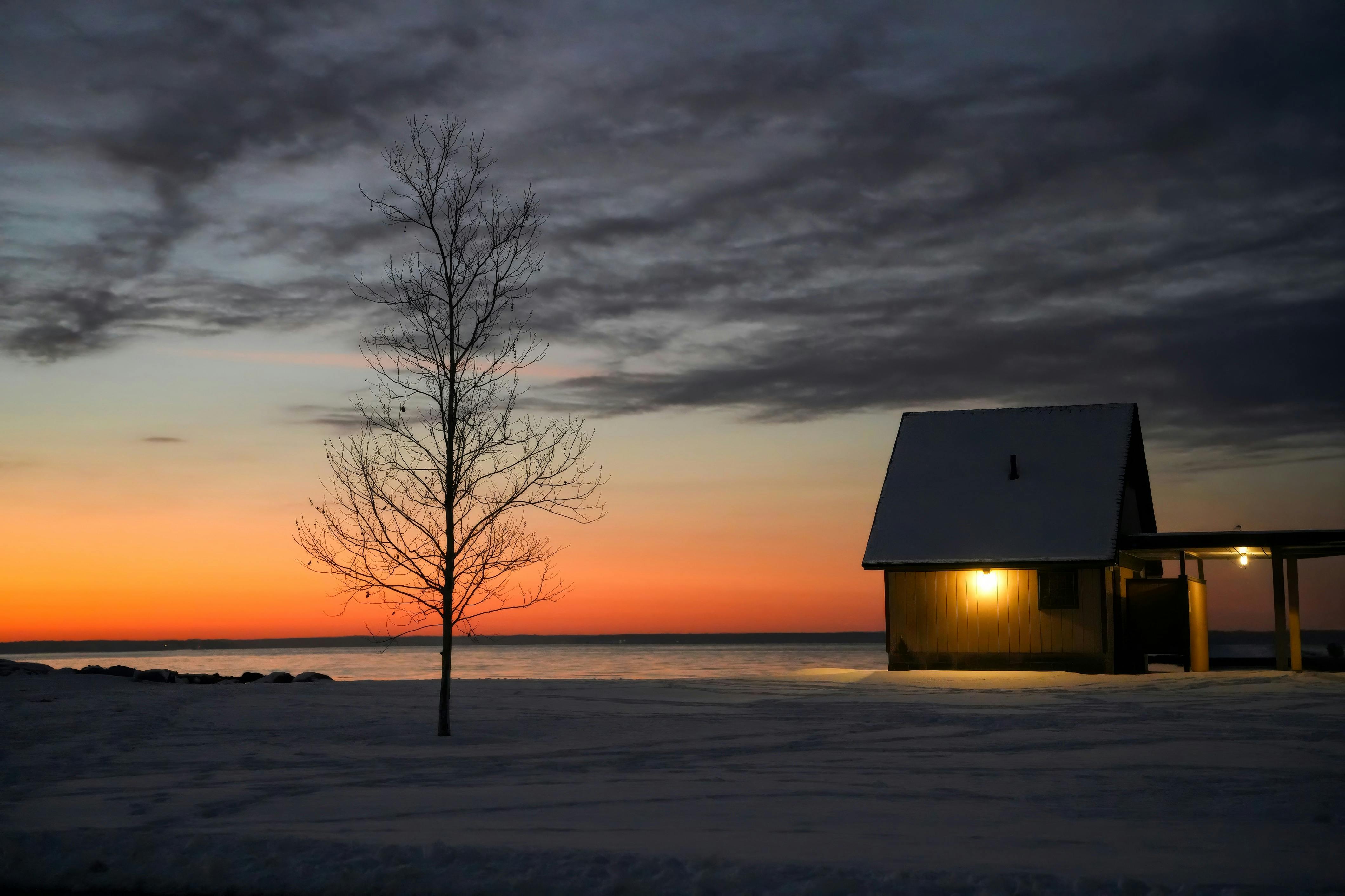 감정으로 읽는 예술영화 - 외로움: 《나이트 온 더 플래닛》(Night on Earth, 1991)