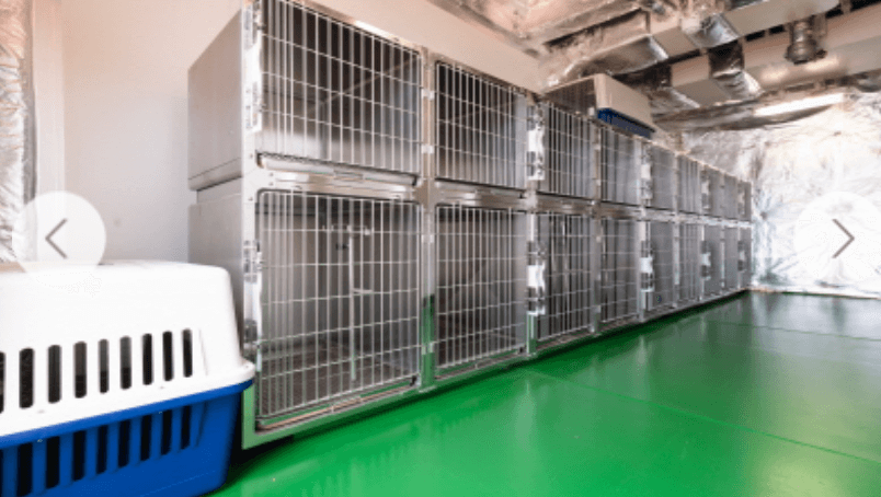 한일고속훼리 펫룸3