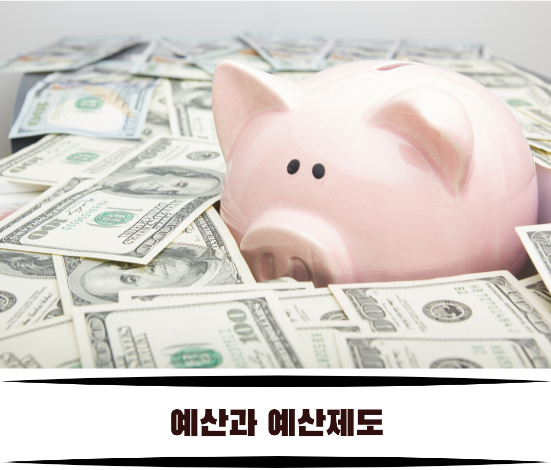 예산과 예산제도