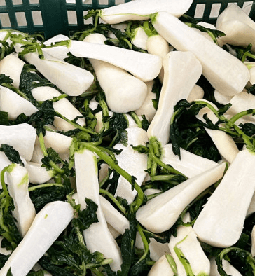 김장 알타리김치 맛있게 담그는 방법