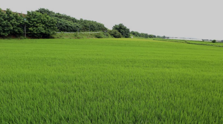 농지취득자격증명-농취증-신청하기-발급-양식-무료다운