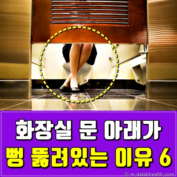외국 화장실 아래 뚫려 있는 이유,팁줌