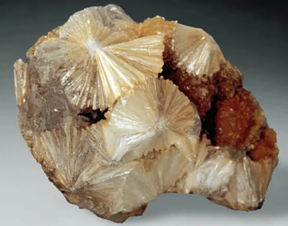 엽랍석(Pyrophyllite)