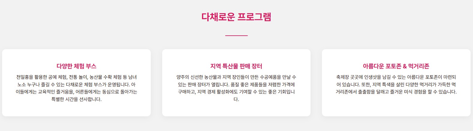 양주 천일홍축제 2025✨ 천만송이 꽃바다에서 힐링한 날