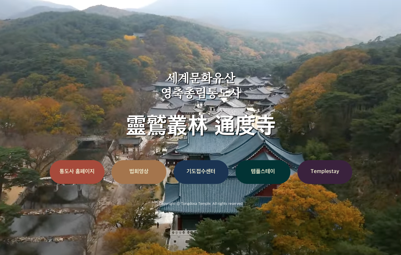 통도사 벚꽃 홍매화 개화 템플스테이 성보박물관 대웅전 금강계단 서운암 사찰여행