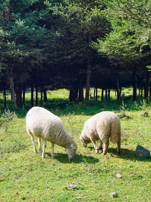 가족과 함께 즐기기 좋은 국내 여름 여행지 TOP 7