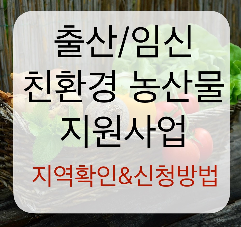 출산 임신부 대상 친환경 농산물 지원사업