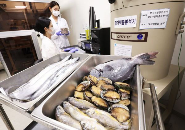 수산물 검체의 방사능 검사를 실시하는 실험실 모습