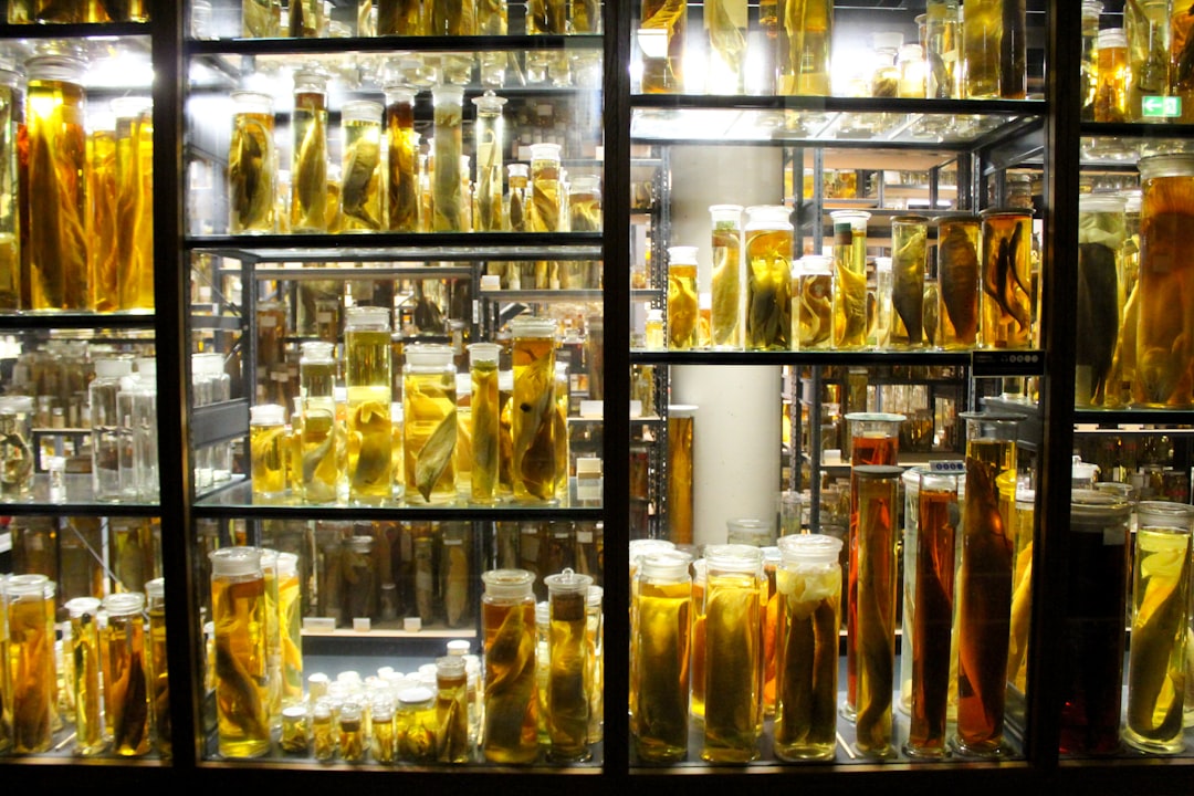 Preservation