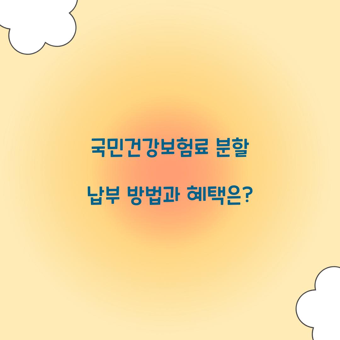 국민건강보험료 분할 납부