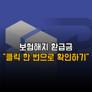 내보험찾아줌