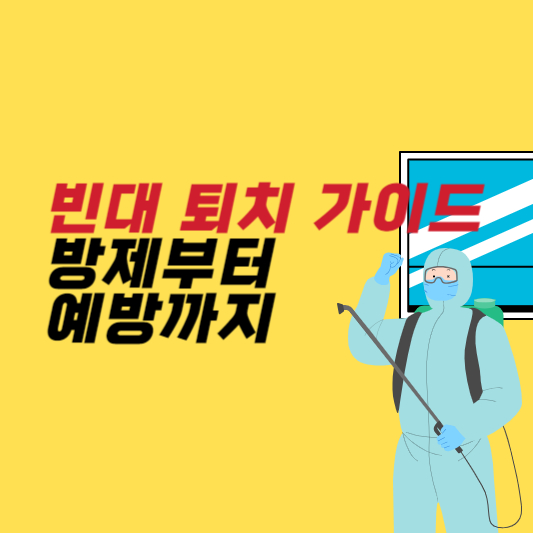 빈대 퇴치 완벽 가이드 방제부터 예방까지!
