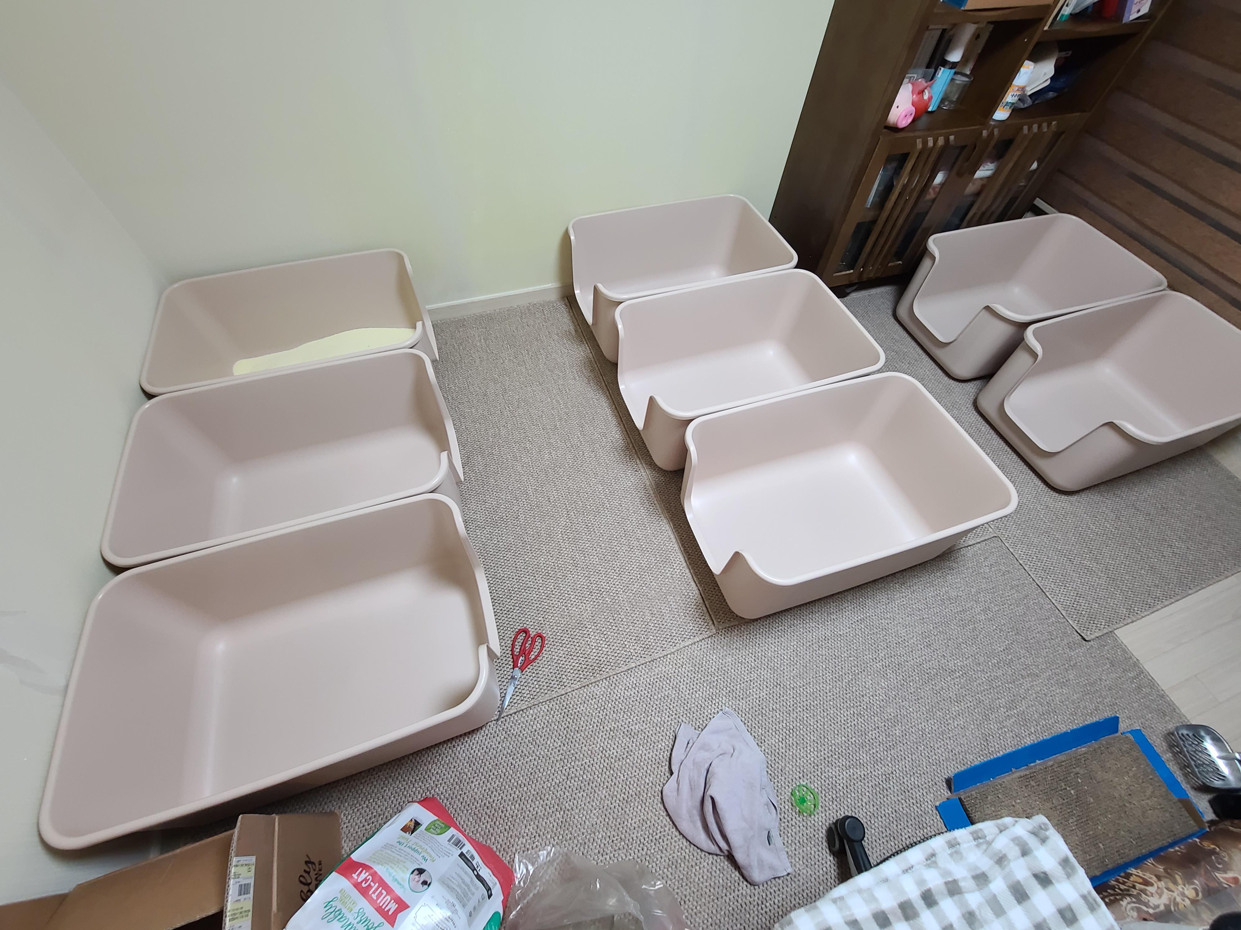 고양이 화장실 모래 전체갈이.