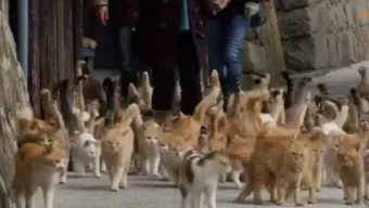 &amp;quot;일본