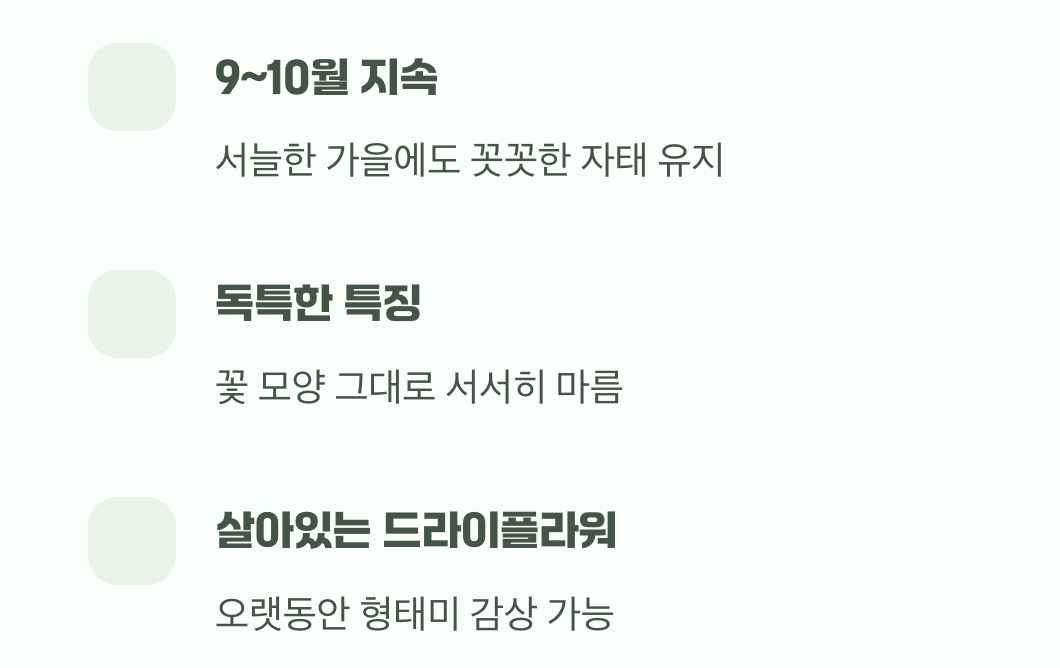 가을바람에도 꺾이지 않는 자태