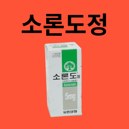 소론도정