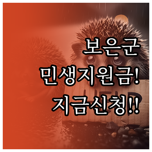 보은군 민생지원금 지급 방식과 공고문..