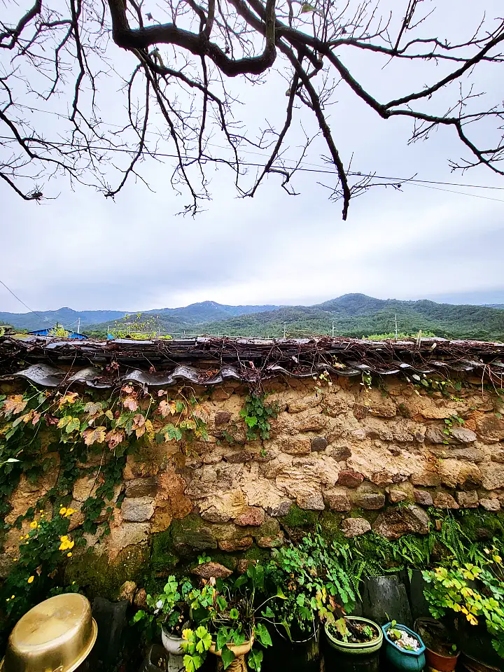 생생정보 경주 한옥스테이 펜션 숙소 전통 가옥 힐링 새해 맞이 해돋이