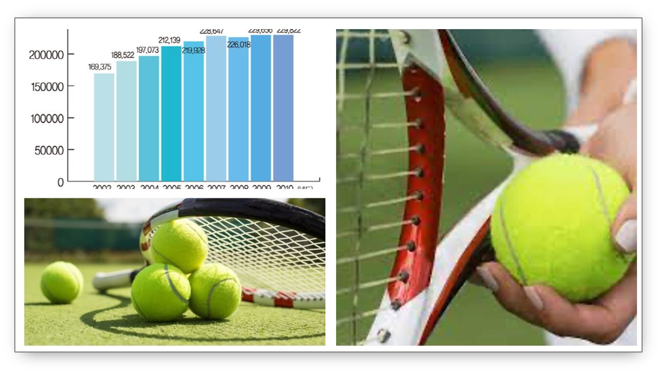 테니스-인구