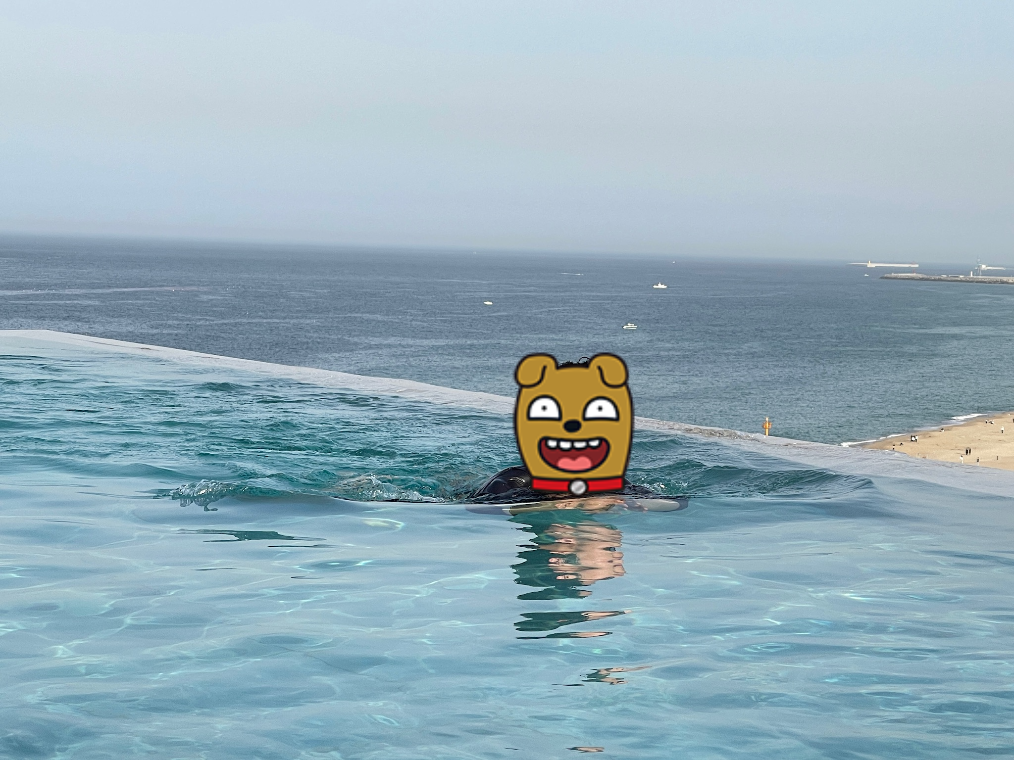 강릉-씨마크호텔-수영장-오션뷰