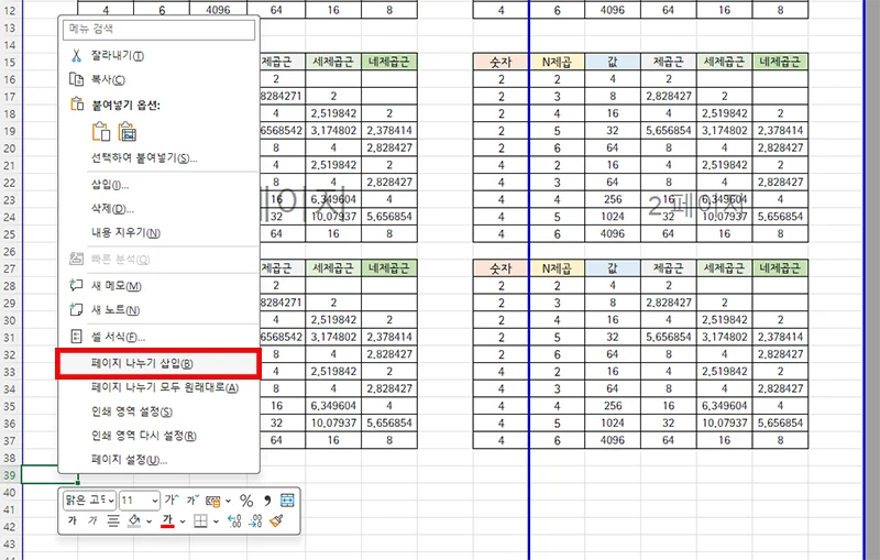 엑셀 페이지 나누기