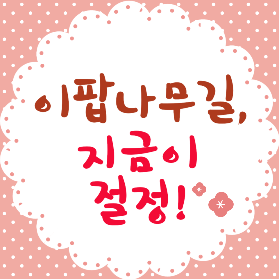 청주 이팝나무길 꽃구경 명소