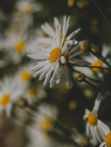 감성 폭발! SNS 핫한 국내 여행지 추천
