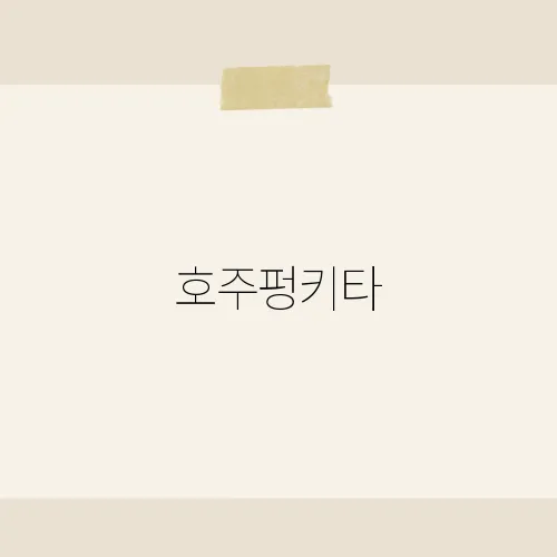 호주펑키타, 수영인들을 위한 개성 만점 수영복 브랜드 소개