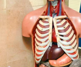 오른쪽 갈비뼈 아래 통증 원인 대처법