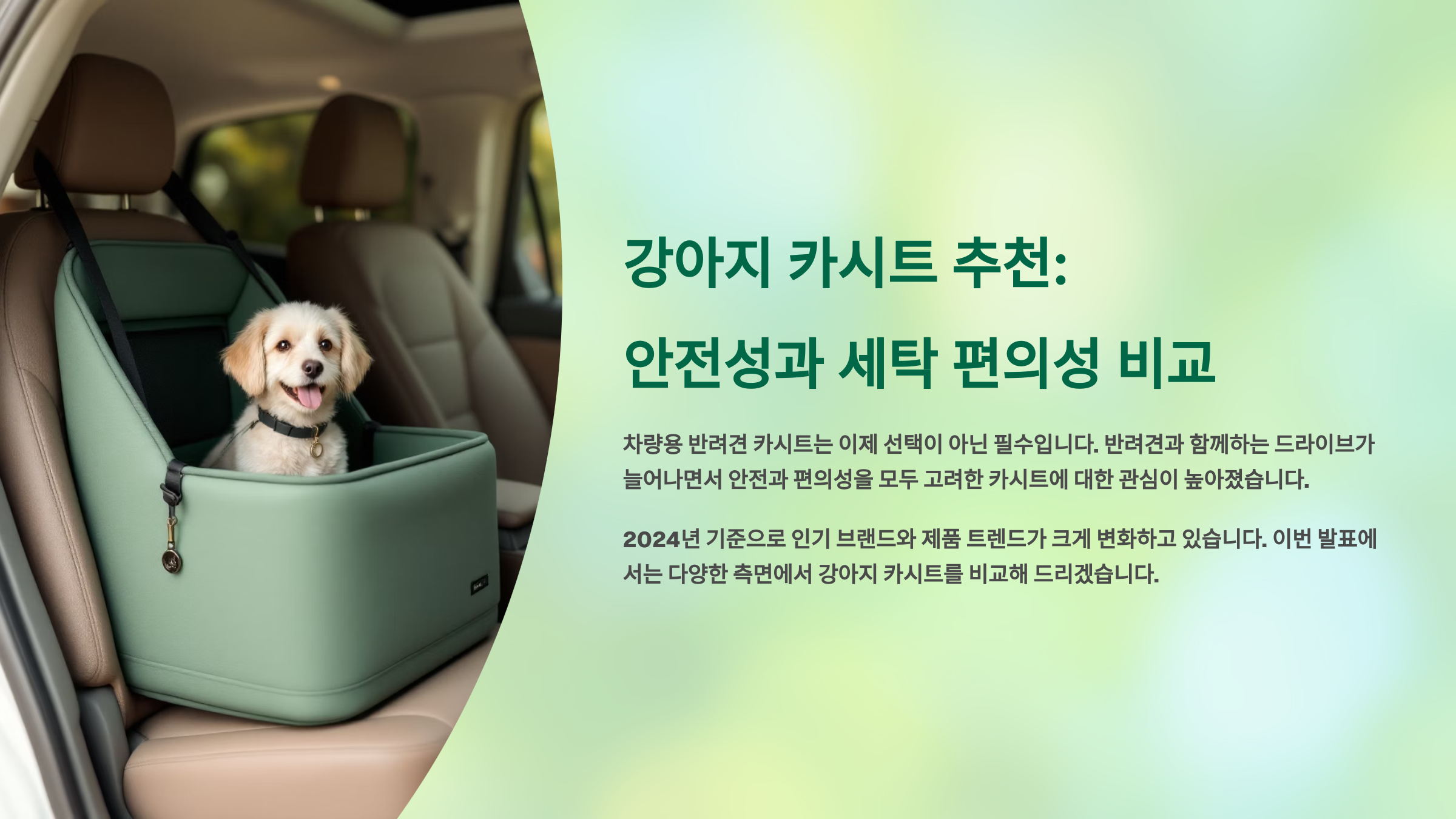 강아지 카시트 추천, 안전성과 세탁 편의성까지 비교