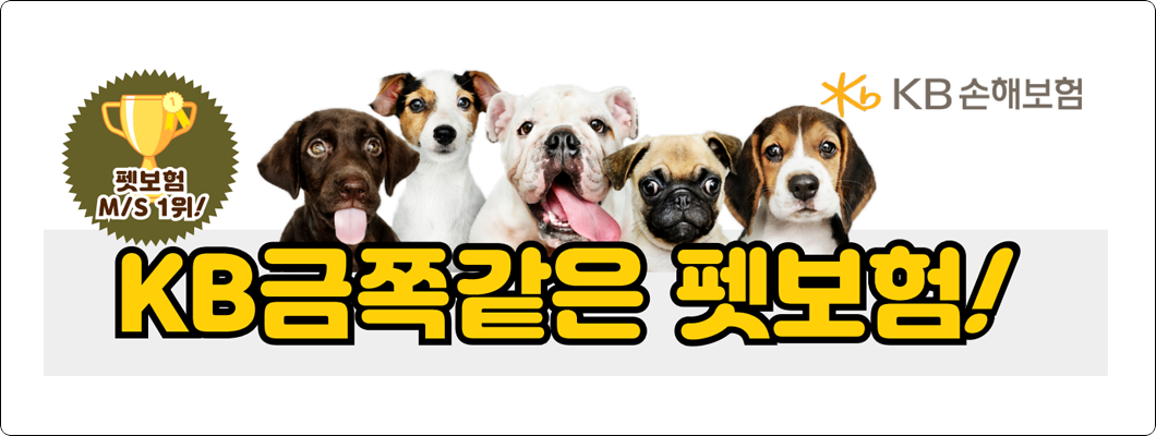 펫보험