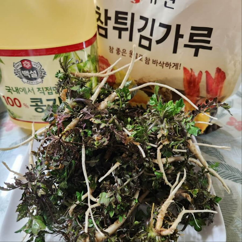 봄나물 대표 냉이 튀김 만드는 법 냉이 손질 무침 황금 레시피