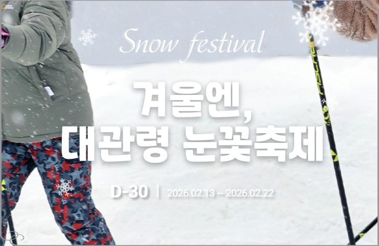 아이와 평창 여행! 대관령 눈꽃축제 입장료부터 양떼목장 연계 코스 총정리