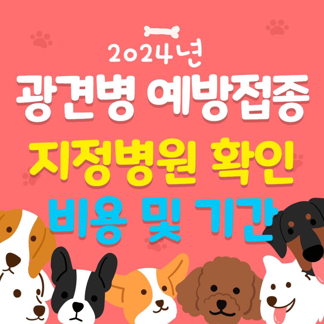 광견병 예방접종, 광견병 무료예방접종, 광견병 접종기간, 광견병 예방접종기간, 광견병 무료접종, 서울 광견병 예방접종, 인천 광견병 예방접종, 대구 광견병 예방접종, 광견병 예방접종 비용, 광견병 접종비용